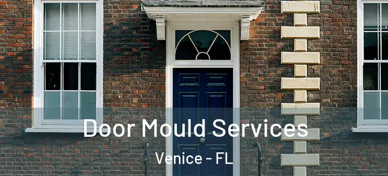  Door Mould Services Venice - FL