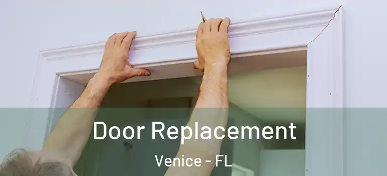  Door Replacement Venice - FL