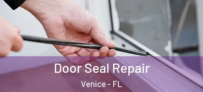  Door Seal Repair Venice - FL