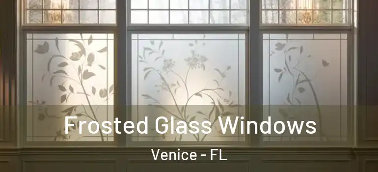  Frosted Glass Windows Venice - FL