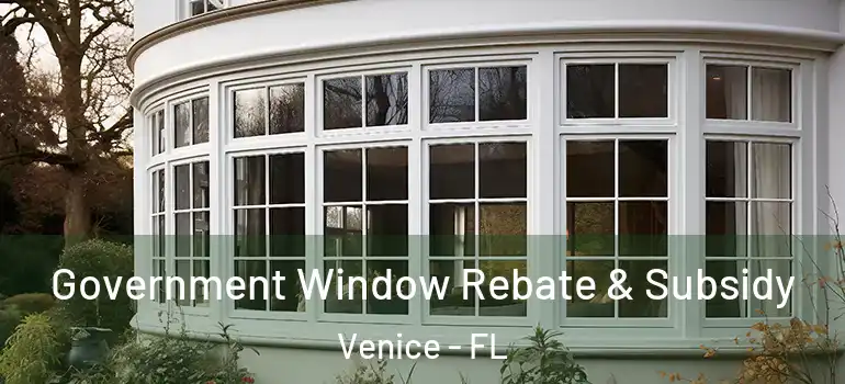  Government Window Rebate & Subsidy Venice - FL