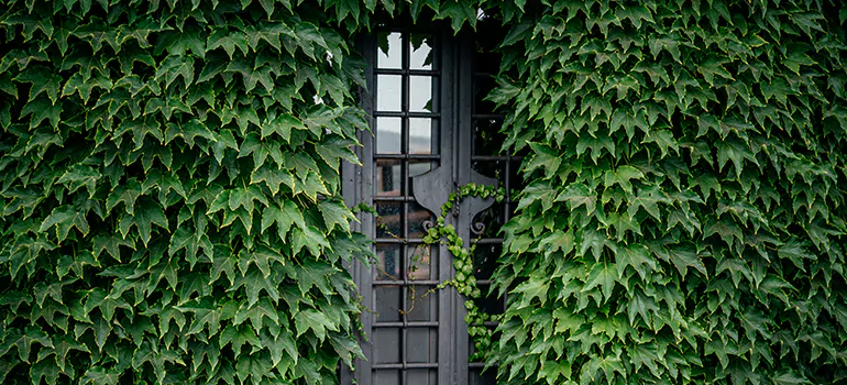 Garden Gate Repair in Venice, FL