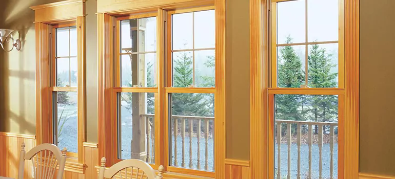 Government Incentives For Replacement Windows in Venice, FL