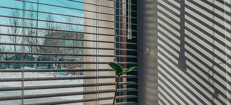 Commercial Window Blinds in Venice, FL