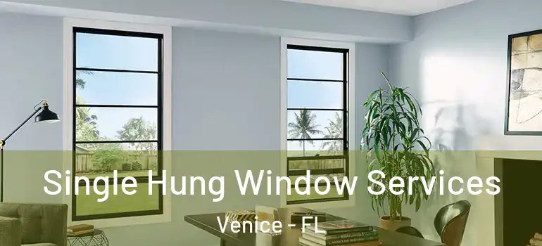  Single Hung Window Services Venice - FL