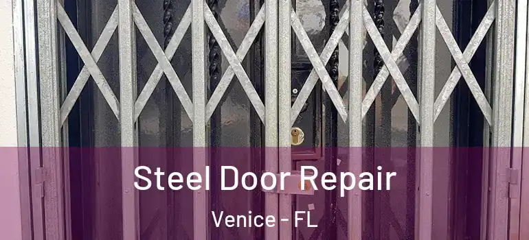  Steel Door Repair Venice - FL