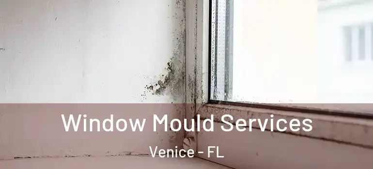  Window Mould Services Venice - FL